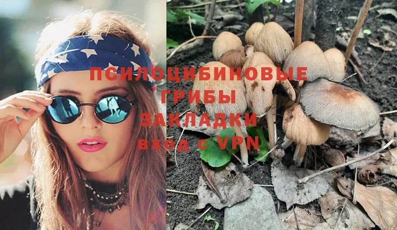 Псилоцибиновые грибы Magic Shrooms  Балтийск 